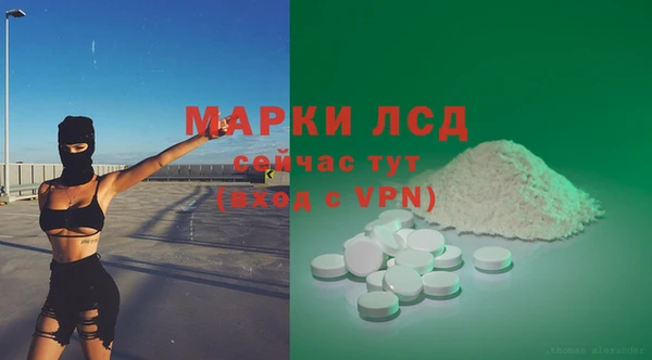 ECSTASY Алзамай
