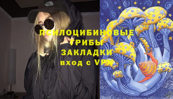 хмурый Алексеевка