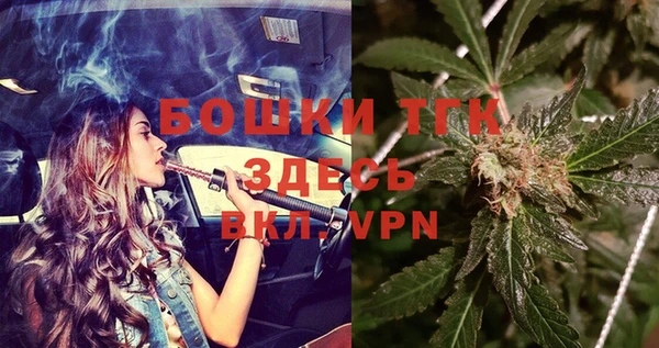 твердый Алексин