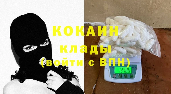 ECSTASY Алзамай