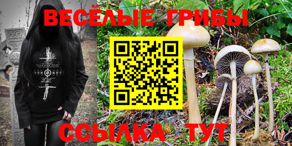 Псилоцибиновые грибы Magic Shrooms Белебей