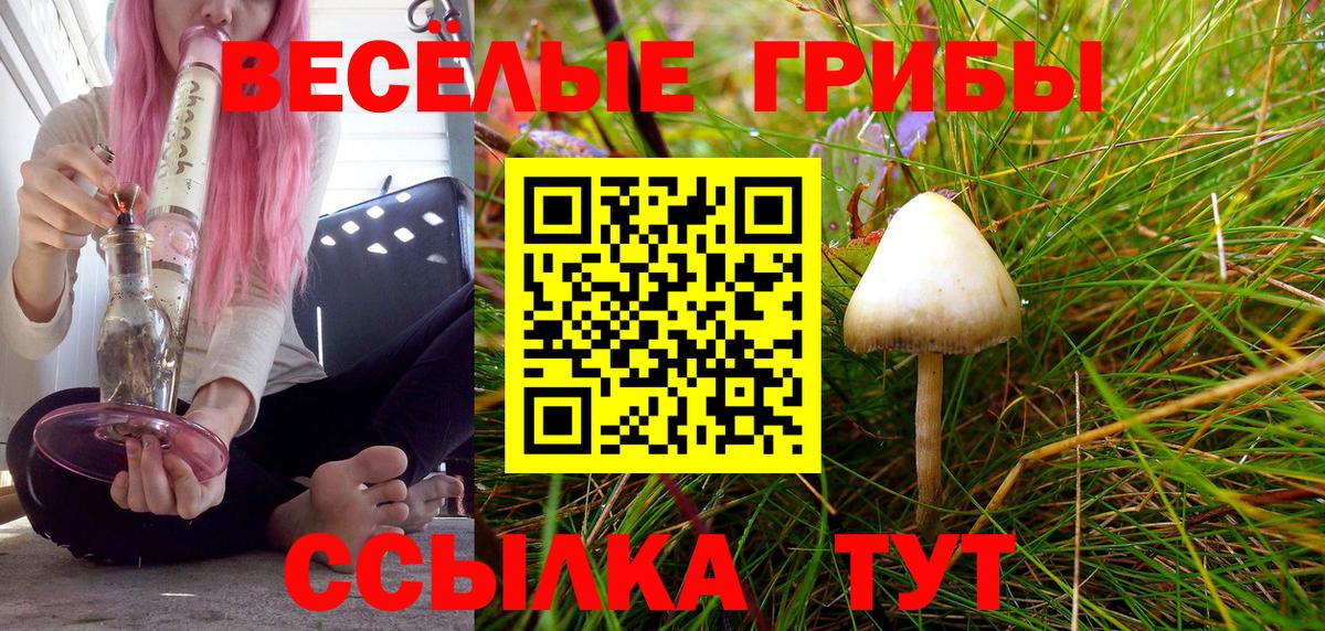 Галлюциногенные грибы GOLDEN TEACHER  Галлюциногенные грибы мицелий  Вход с VPN  Белебей 